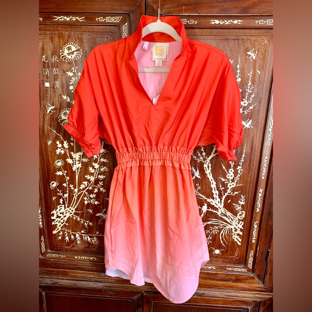 Nwt Emily McCarthy Palmer Dress